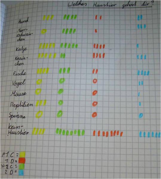 Kinderdokument zur Datensammlung: „Welches Haustier gehört dir?“. Strichliste mit verschiedenen Farben, die die Daten der verschiedenen Klassen darstellen. Kategorien: „Hund, Meerschweinchen, Katze, Kaninchen, Fische, Vögel, Mäuse, Reptilien, Spinne, kein Haustier“. Befragung der Klassen 1 c, 1 d, 2 c, 2 d.