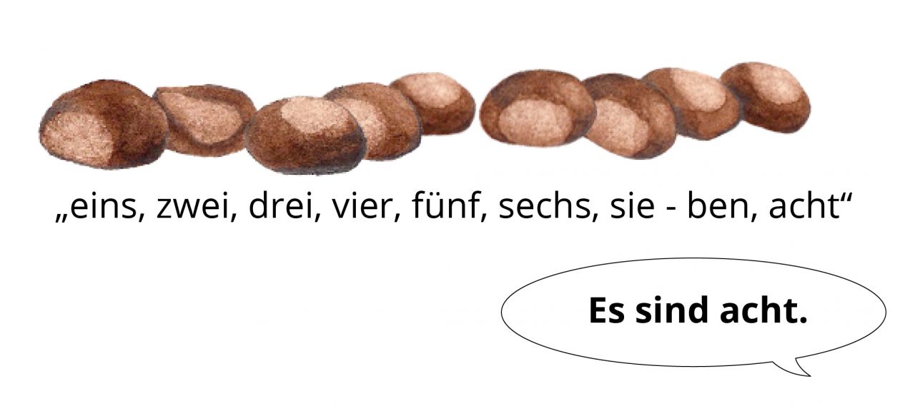 Abbildung zur Veranschaulichung eines Zählfehlers. 9 gezeichnete Kastanien. Darunter: „eins, zwei, drei, vier fünf, sechs, sie, ben, acht“. Sprechblase: „Es sind acht.“