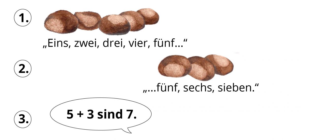 Abbildung zum zählenden Rechnen unterteilt in 3 Schritte. Erstens: 5 Kastanien, darunter: „eins, zwei, drei, vier, fünf…“. Zweitens: 3 Kastanien, darunter: „…fünf, sechs, sieben.“. Drittens: Sprechblase: „5 plus 3 sind 7.“